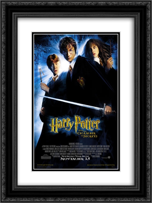 Harry Potter and the Chamber of Secrets 18x24 Black Ornate Wood Framed Movie Poster with Double Matting