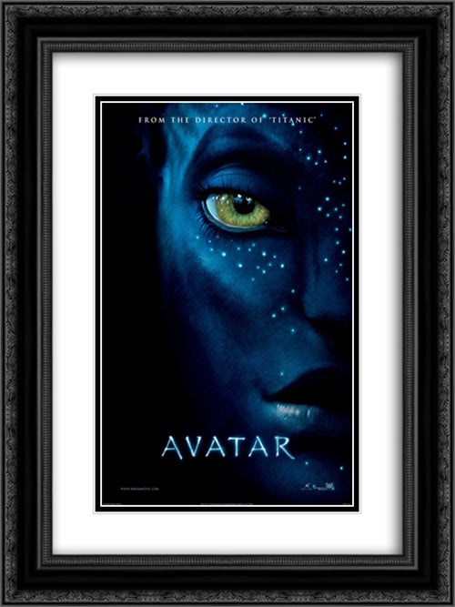 Avatar 18x24 Black Ornate Wood Framed Movie Poster with Double Matting