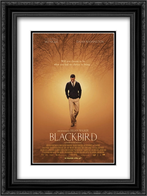 Blackbird 18x24 Black Ornate Wood Framed Movie Poster with Double Matting