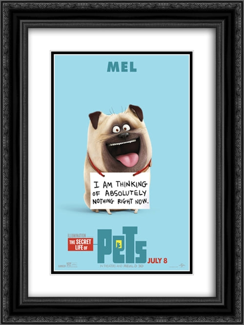 The Secret Life of Pets 18x24 Black Ornate Wood Framed Movie Poster with Double Matting