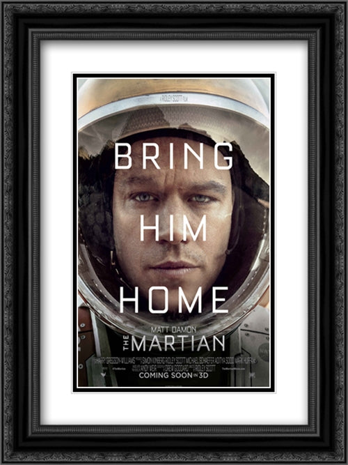 The Martian 18x24 Black Ornate Wood Framed Movie Poster with Double Matting