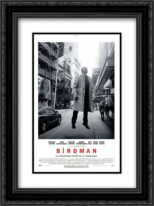 Birdman 18x24 Black Ornate Wood Framed Movie Poster with Double Matting