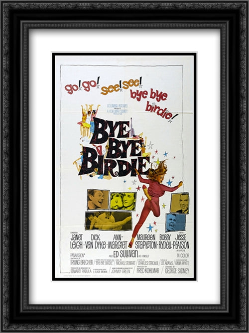 Bye Bye Birdie 18x24 Black Ornate Wood Framed Movie Poster with Double Matting