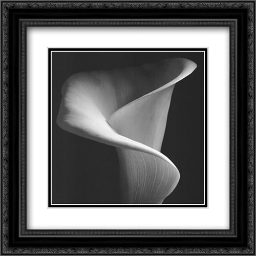 Calla Lily 17x17 Black Ornate Wood Framed Art Print Poster with Double Matting by Conley, Jeffrey