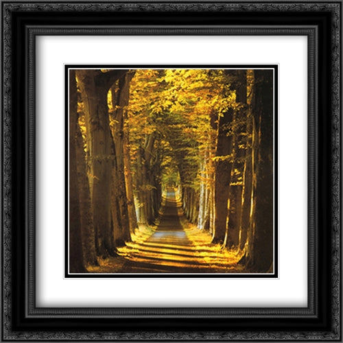Tree Lined Avenue 2x Matted 20x20 Black Ornate Wood Framed Art Print Poster with Double Matting by Collins, Kathy