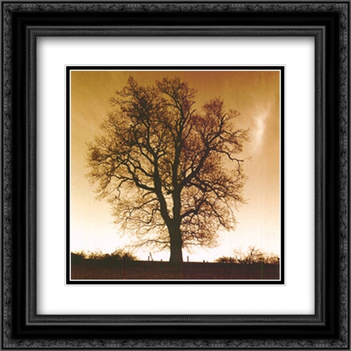 Sepia Trees I 2x Matted 12x24 Black Ornate Wood Framed Art Print Poster with Double Matting by Baker, Mark
