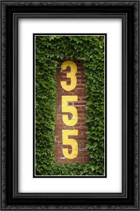 Wrigley Field Ivy 16x24 Black Ornate Wood Framed Art Print Poster with Double Matting