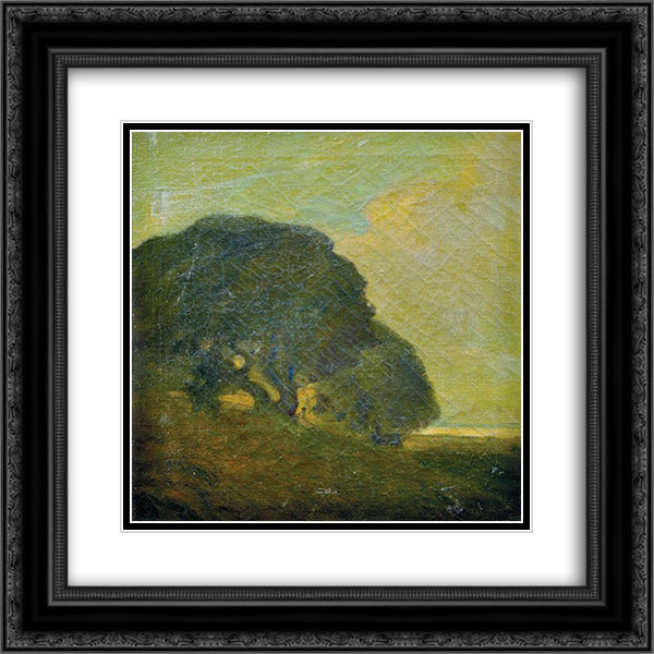 Landscape 20x20 Black Ornate Wood Framed Art Print Poster with Double Matting by Martinez, Xavier