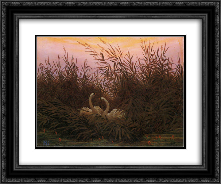 Swans among the reeds at the first Morgenro 24x20 Black Ornate Wood Framed Art Print Poster with Double Matting by Friedrich, Caspar David