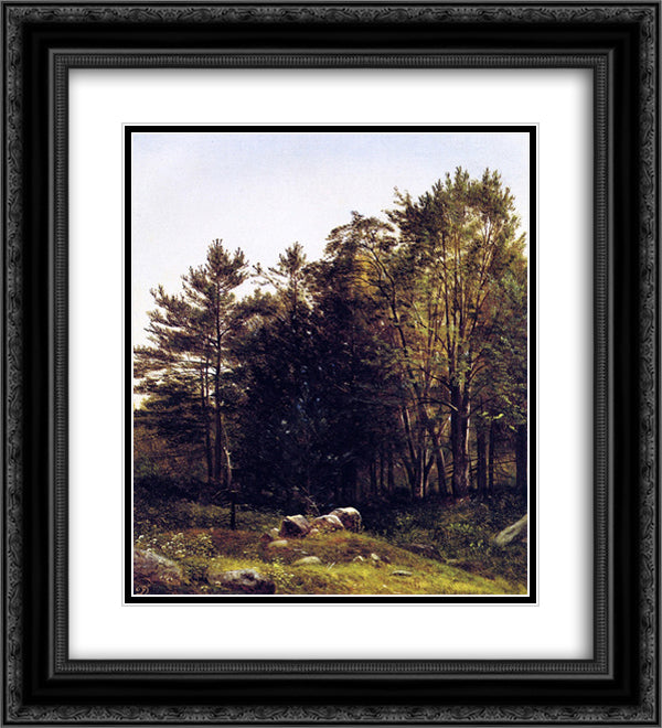 A Study near Tamworth, New Hampshire 20x22 Black Ornate Wood Framed Art Print Poster with Double Matting by Johnson, David