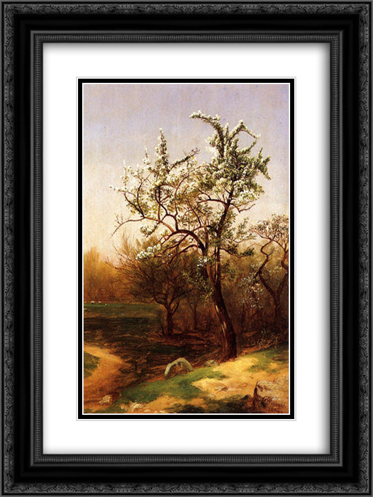 Pear Blossoms 18x24 Black Ornate Wood Framed Art Print Poster with Double Matting by Johnson, David