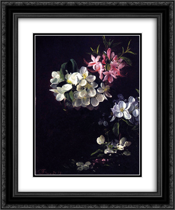 Sketch of Apple Blossoms with May Flowers 20x24 Black Ornate Wood Framed Art Print Poster with Double Matting by Johnson, David