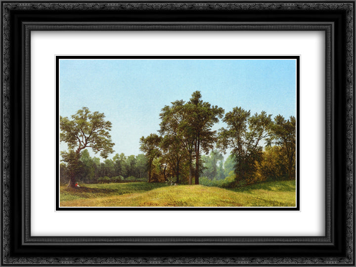 Young Elms 24x18 Black Ornate Wood Framed Art Print Poster with Double Matting by Johnson, David