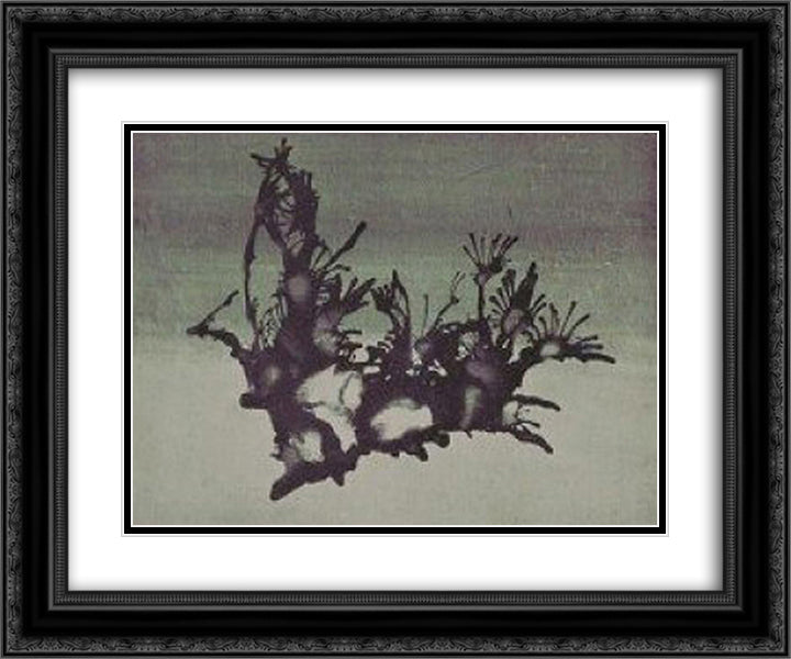 The Mania of Revolution (Vaporization) 24x20 Black Ornate Wood Framed Art Print Poster with Double Matting by Trost, Dolfi