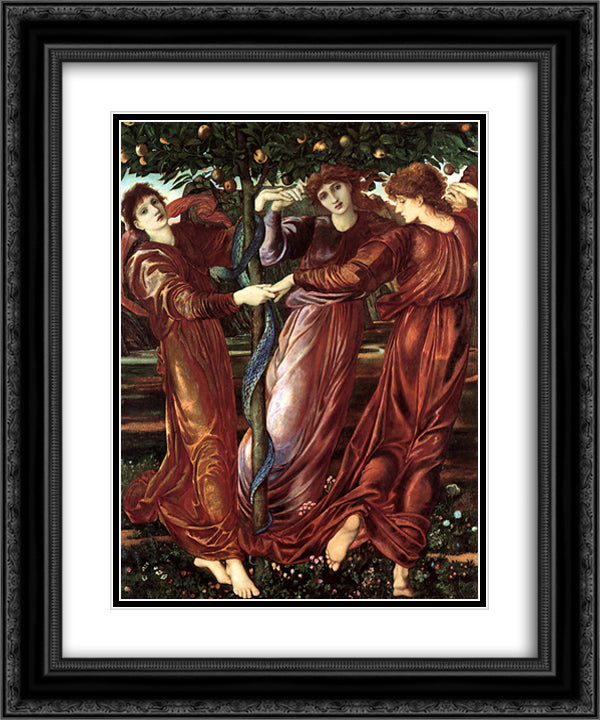 The Garden Of The Heserides 20x24 Black Ornate Wood Framed Art Print Poster with Double Matting by Burne Jones, Edward