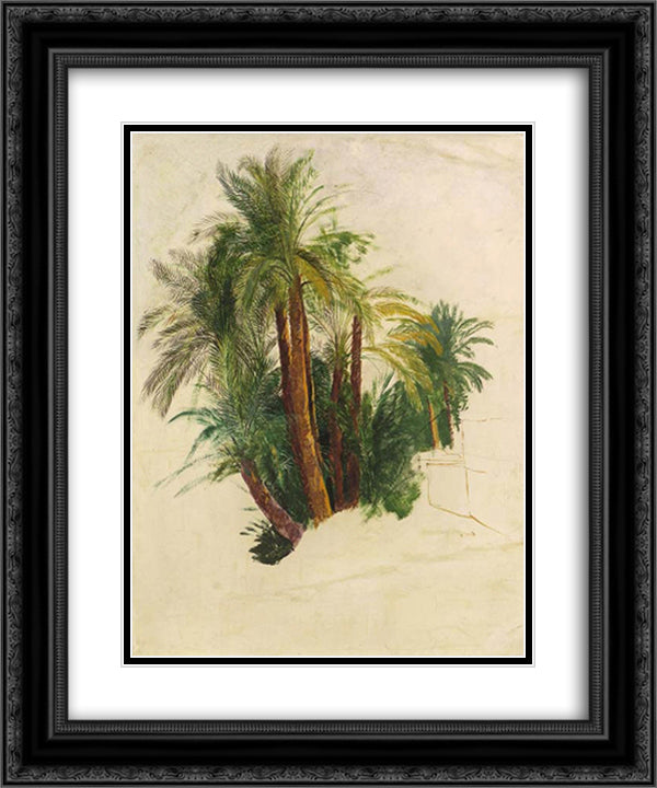 Study of palm trees 20x24 Black Ornate Wood Framed Art Print Poster with Double Matting by Lear, Edward