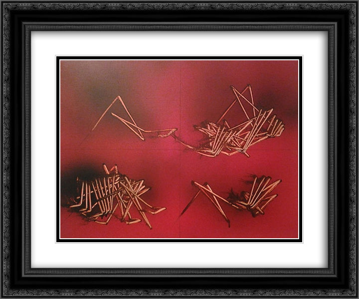 Alfabeto senza fine 24x20 Black Ornate Wood Framed Art Print Poster with Double Matting by Scanavino, Emilio