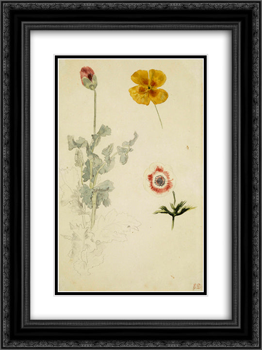 Study of Flowers 18x24 Black Ornate Wood Framed Art Print Poster with Double Matting by Delacroix, Eugene