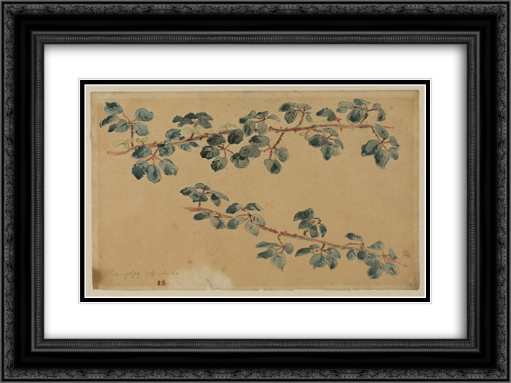 Two branches with leaves 24x18 Black Ornate Wood Framed Art Print Poster with Double Matting by Delacroix, Eugene