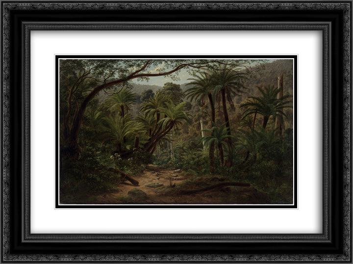 Ferntree Gully in the Dandenong Ranges 24x18 Black Ornate Wood Framed Art Print Poster with Double Matting by von Guerard, Eugene
