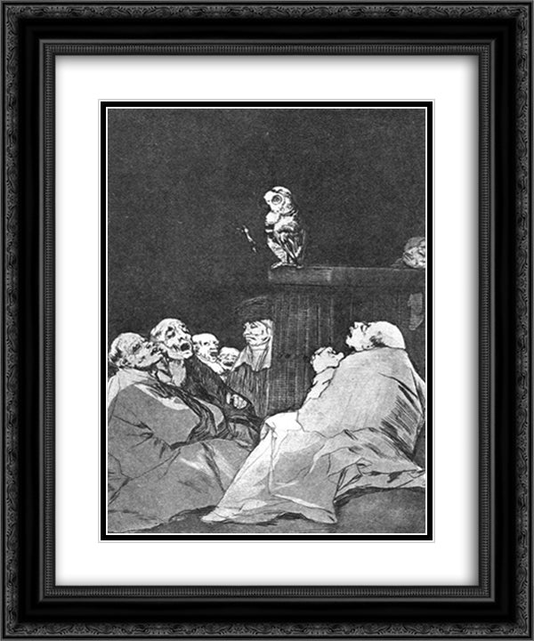 What a golden beak! 20x24 Black Ornate Wood Framed Art Print Poster with Double Matting by Goya, Francisco