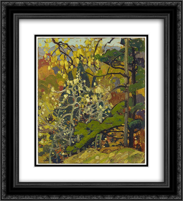 Autumn Splendor 20x22 Black Ornate Wood Framed Art Print Poster with Double Matting by Carmichael, Franklin