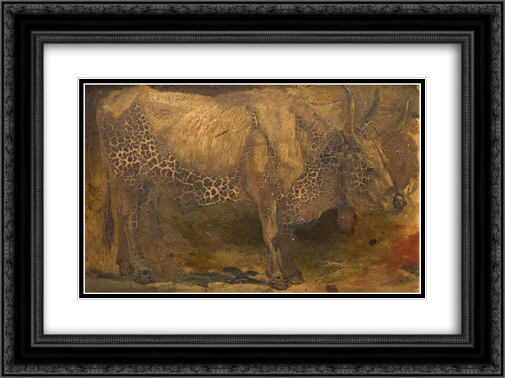Roman Ox (Standing) 24x18 Black Ornate Wood Framed Art Print Poster with Double Matting by Mason, George Hemming