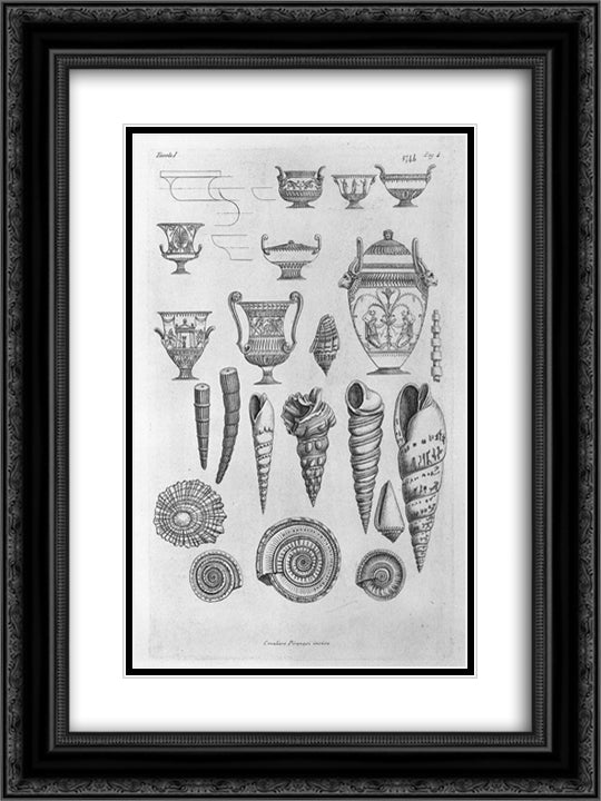 Other shells, and Greek vases etched outline 18x24 Black Ornate Wood Framed Art Print Poster with Double Matting by Piranesi, Giovanni Battista