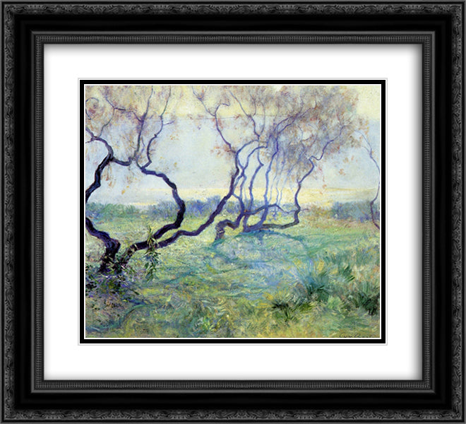 Tamarisk Trees in Early Sunlight 22x20 Black Ornate Wood Framed Art Print Poster with Double Matting by Rose, Guy