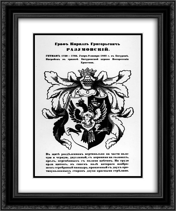 The arms of hetman Cyril Razumovsky 20x24 Black Ornate Wood Framed Art Print Poster with Double Matting by Narbut, Heorhiy