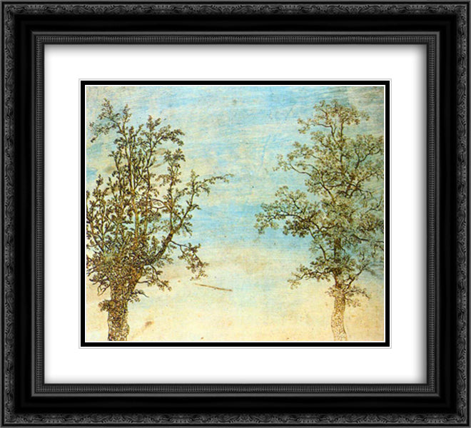Two Trees 22x20 Black Ornate Wood Framed Art Print Poster with Double Matting by Seghers, Hercules
