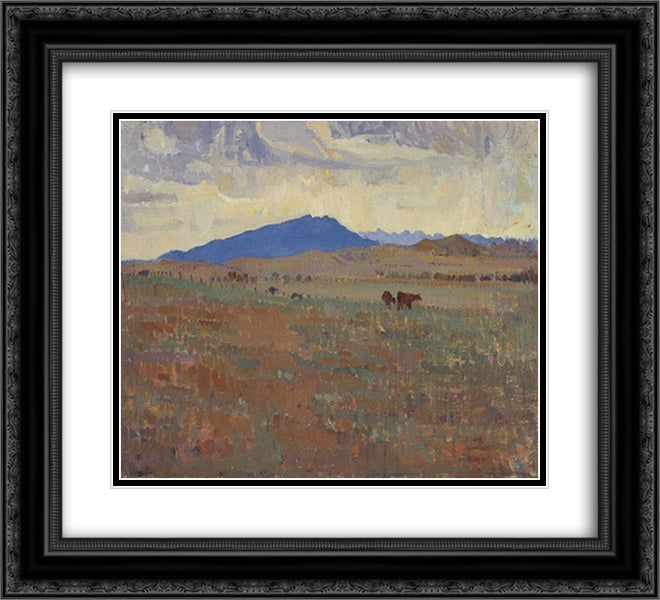 Hawker, Flinders Ranges 22x20 Black Ornate Wood Framed Art Print Poster with Double Matting by Trenerry, Horace