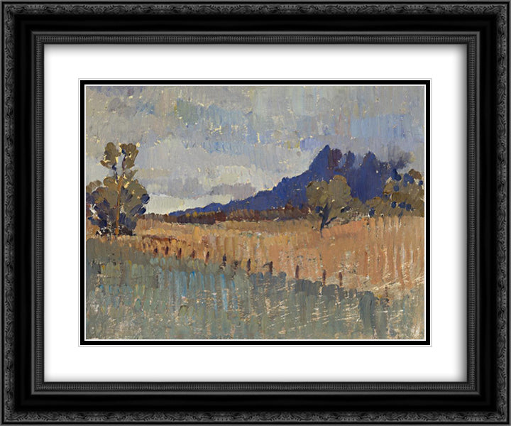 Northern Landccape (Flinders Ranges Landscape with Rain Approaching) 24x20 Black Ornate Wood Framed Art Print Poster with Double Matting by Trenerry, Horace