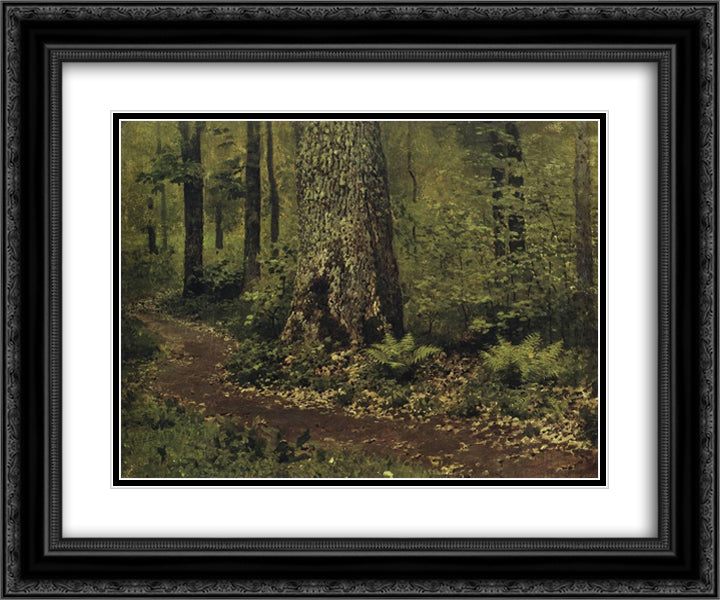 Footpath in a Forest. Ferns. 24x20 Black Ornate Wood Framed Art Print Poster with Double Matting by Levitan, Isaac