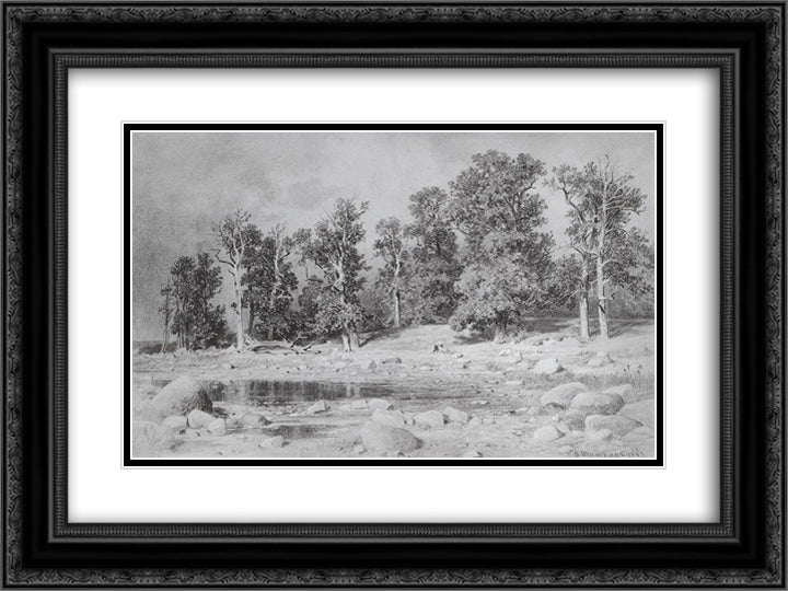 Oak Grove of Peter the Great on the coast of the Gulf in Sestroretsk 24x18 Black Ornate Wood Framed Art Print Poster with Double Matting by Shishkin, Ivan