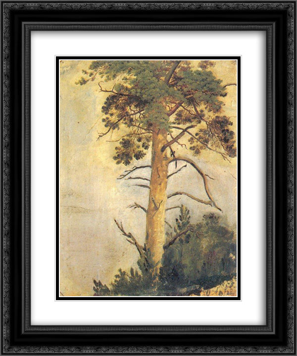Pine on the cliff 20x24 Black Ornate Wood Framed Art Print Poster with Double Matting by Shishkin, Ivan