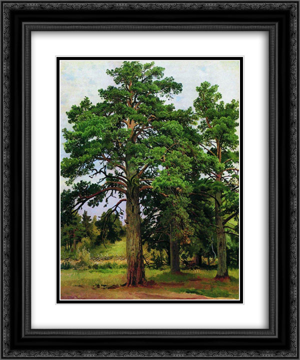 Pine without the sun. Mary-Howe 20x24 Black Ornate Wood Framed Art Print Poster with Double Matting by Shishkin, Ivan