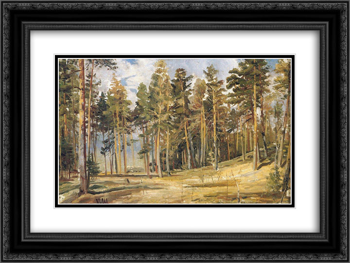 Pines. Sunny Day 24x18 Black Ornate Wood Framed Art Print Poster with Double Matting by Shishkin, Ivan