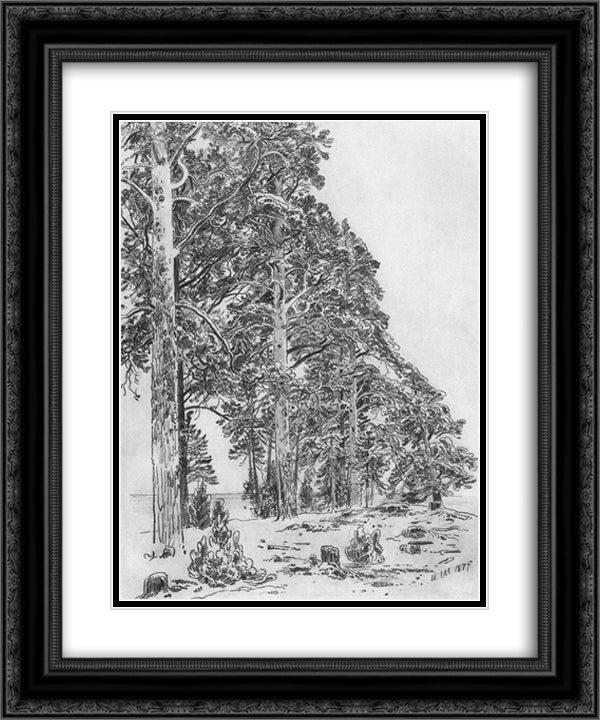 Pines on the beach 20x24 Black Ornate Wood Framed Art Print Poster with Double Matting by Shishkin, Ivan