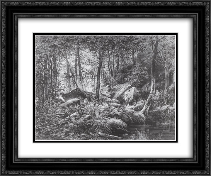 Slums (View on the island of Valaam) 24x20 Black Ornate Wood Framed Art Print Poster with Double Matting by Shishkin, Ivan