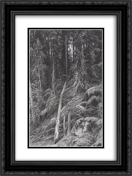 Taiga 18x24 Black Ornate Wood Framed Art Print Poster with Double Matting by Shishkin, Ivan