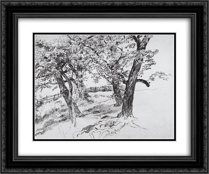Trees 24x20 Black Ornate Wood Framed Art Print Poster with Double Matting by Shishkin, Ivan