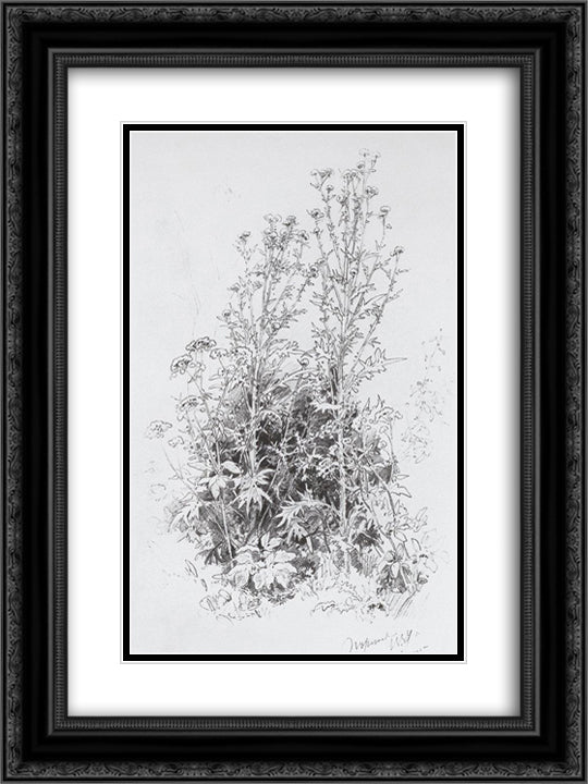 Wildflowers 18x24 Black Ornate Wood Framed Art Print Poster with Double Matting by Shishkin, Ivan
