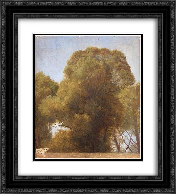 Study of trees 20x22 Black Ornate Wood Framed Art Print Poster with Double Matting by Ingres, Jean Auguste Dominique