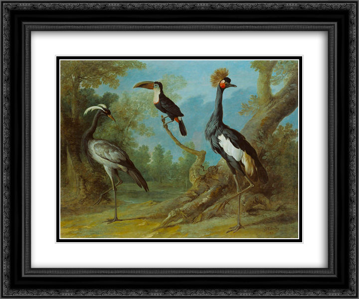 Demoiselle Crane, Toucan, and Tufted Crane 24x20 Black Ornate Wood Framed Art Print Poster with Double Matting by Oudry, Jean Baptiste