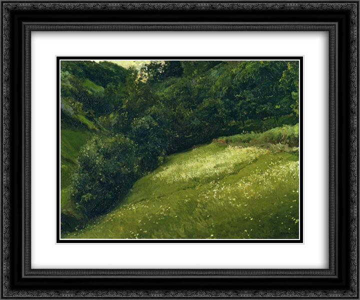 Field in Asturias 24x20 Black Ornate Wood Framed Art Print Poster with Double Matting by Sorolla, Joaquin