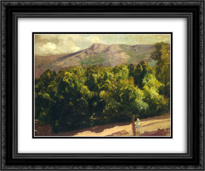 Gardens at San Ildefonso 24x20 Black Ornate Wood Framed Art Print Poster with Double Matting by Sorolla, Joaquin