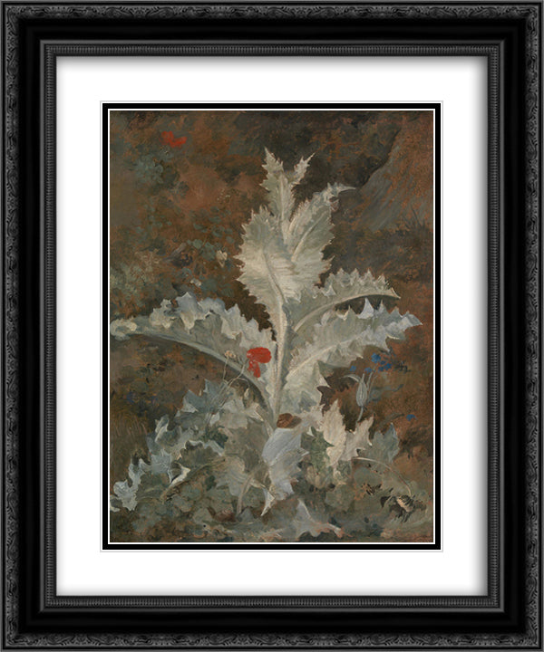 A Thistle 20x24 Black Ornate Wood Framed Art Print Poster with Double Matting by Crome, John
