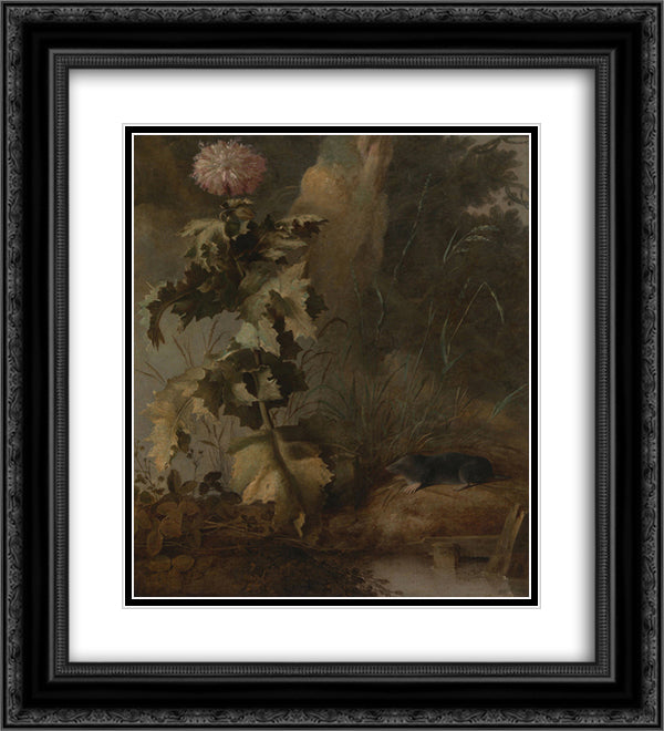 An Egyptian Poppy and a Water Mole 20x22 Black Ornate Wood Framed Art Print Poster with Double Matting by Crome, John