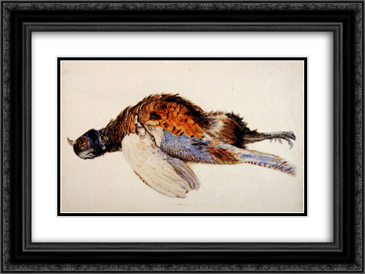 Dead Pheasant 24x18 Black Ornate Wood Framed Art Print Poster with Double Matting by Ruskin, John